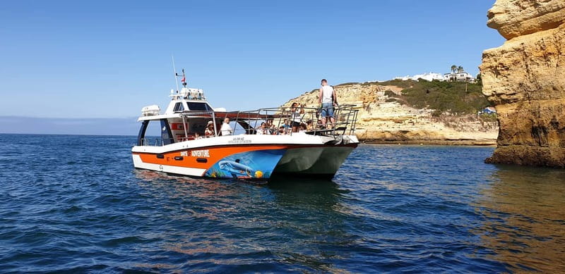 From Lagos: Dolphin Watching Catamaran Cruise - The Boat Experience: Comfort, Safety, and Viewing Angles