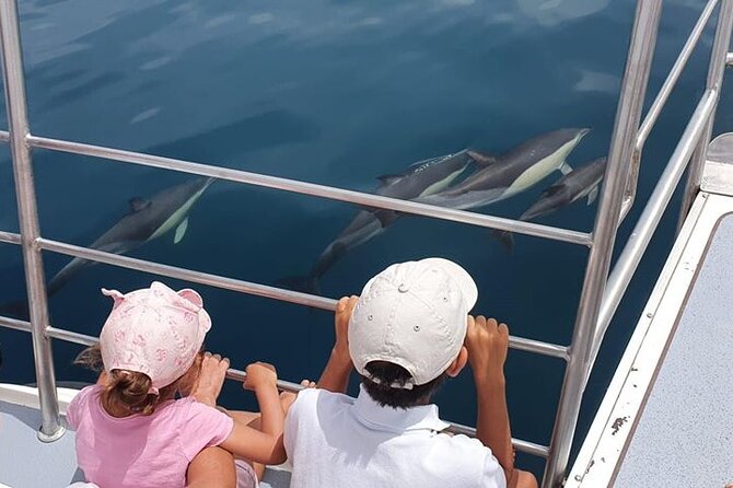 From Lagos: Dolphin Watching Cruise on a Catamaran - Key things that make this cruise worth your time