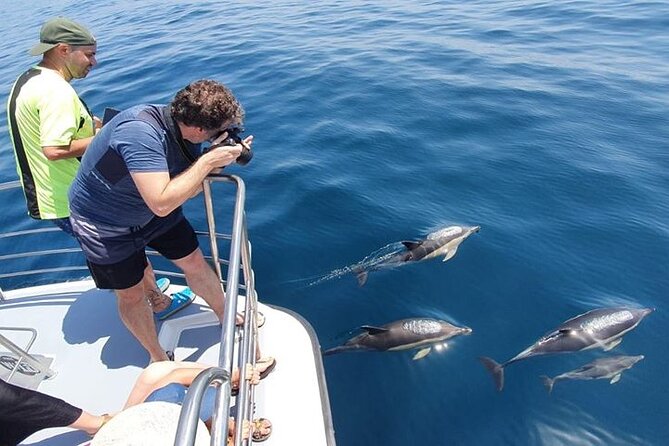 From Lagos: Dolphin Watching Cruise on a Catamaran - Getting to Marina de Lagos without stress (and why timing matters)