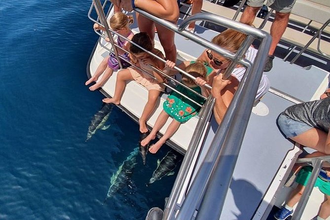 From Lagos: Dolphin Watching Cruise on a Catamaran - Price and value: what $48-ish buys you in Lagos