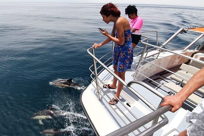 From Lagos: Dolphin Watching Cruise on a Catamaran - A simple game plan for your day on the catamaran