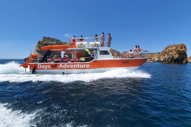 From Lagos: Kayak Tour of Ponta da Piedade Caves on Catamaran - The swim and coastal cruise back to Lagos Marina