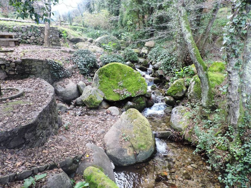 From Lagos: Monchique Private Guided Hike + Medronho Tasting - Forest trails and cork oaks: the “why” behind what you’re seeing