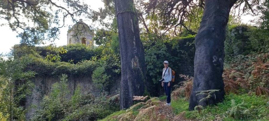 From Lagos: Monchique Private Guided Hike + Medronho Tasting - Break by a creek (and how to handle food and comfort)
