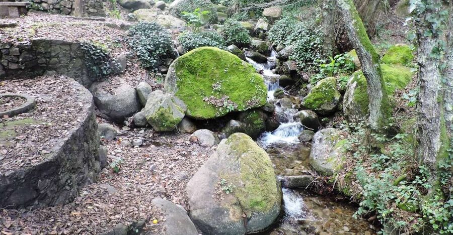 From Lagos: Monchique Private Guided Hike + Medronho Tasting - Price and value: why $68 can make sense for the right traveler