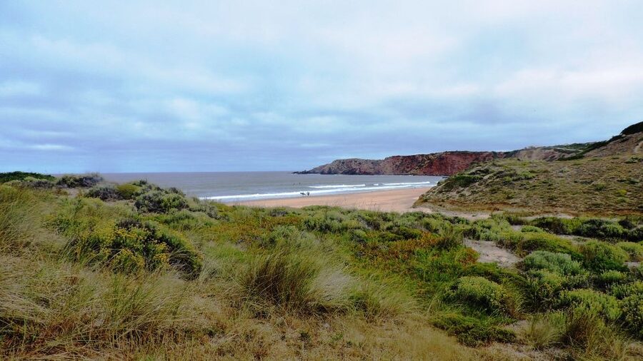 From Lagos: Private Guided Hike along the Vicentina Coast - Praia do Amado start: sea-breeze walking and your first trail cues