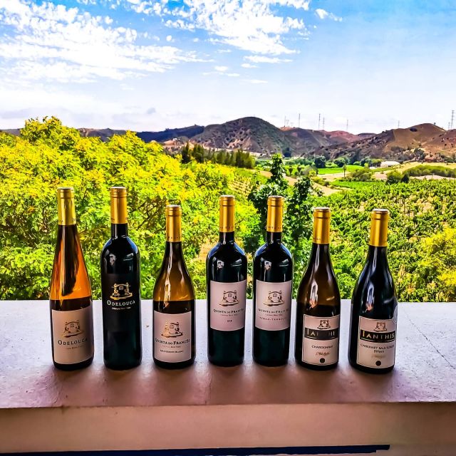 From Lagos: Small-Group 4-Hour Wine Tasting Tour - Key highlights that make this tour worth your time