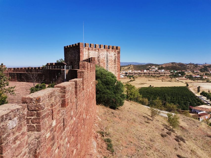 From Lagos: Small-Group 4-Hour Wine Tasting Tour - What you taste: three Algarve wines with tapas pairing
