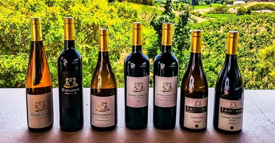 From Lagos: Small-Group 4-Hour Wine Tasting Tour - Getting to Silves: a short ride that sets the mood