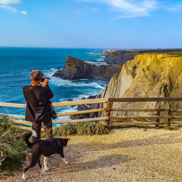 From Lagos: Wild and Wonderful West Coast Full-Day Tour - Price and value: $104 for a full coast day that includes tickets