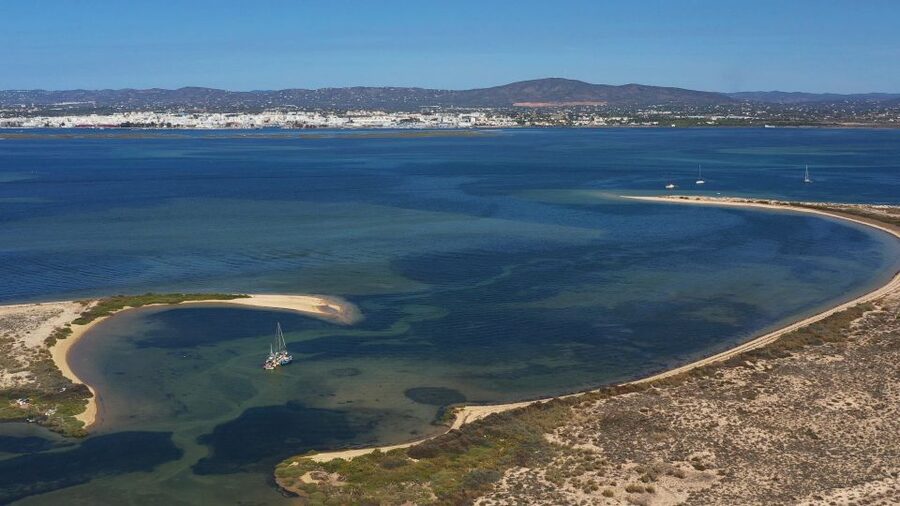 From Olhão: Ria Formosa 3-Island Full-Day Tour - What to Pack and How to Make the Most of Each Stop
