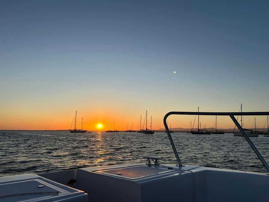 From Olhão: Ria Formosa Sunset Island Tour - Birds, wildlife, and the Ria Formosa nature rhythm