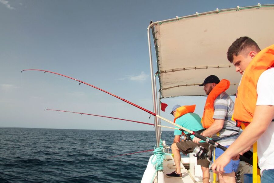 Fuzeta: 2.5-Hour Sport Fishing Tour - Key things to know before you go