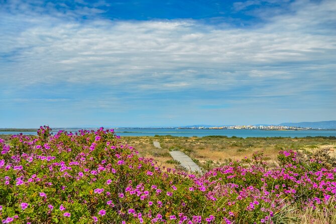 Guided Nature Tour & Hop On Hop Off 3 Islands - Ilha do Farol: Big Lighthouse, Traditional Houses, and Island Architecture