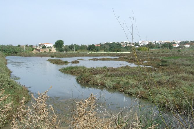 Half-day birdwatching at the Abicada marshed - A 7:00 am bird walk from A Rocha Life in Lagos