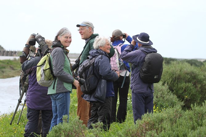 Half-day birdwatching at the Abicada marshed - Abicada marsh time: what the telescope changes in real life