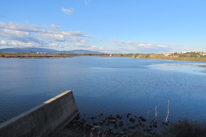 Half-day birdwatching at the Abicada marshed - Who should book this birdwatching half-day (and who might skip it)