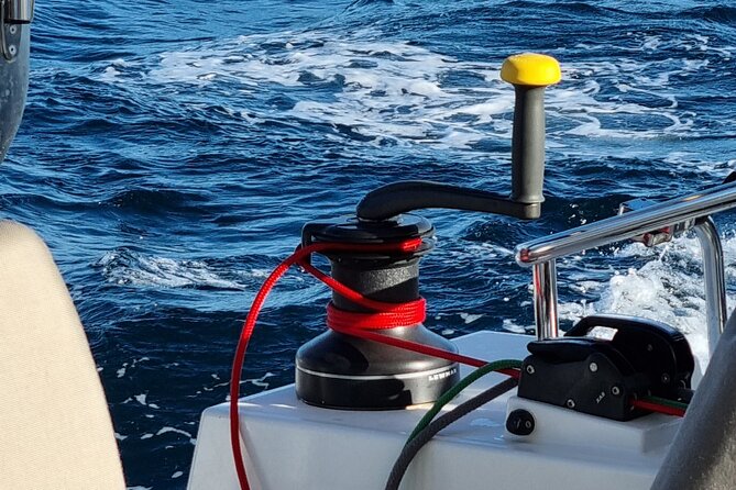 Half Day Catamaran Tour in Algarve - Lagos - Weather, Timing, and Packing Tips for a Smooth Sail