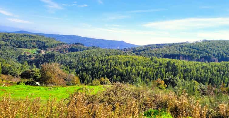 Half-Day Mountain Jeep Safari with firewater tasting - Key highlights you’ll care about