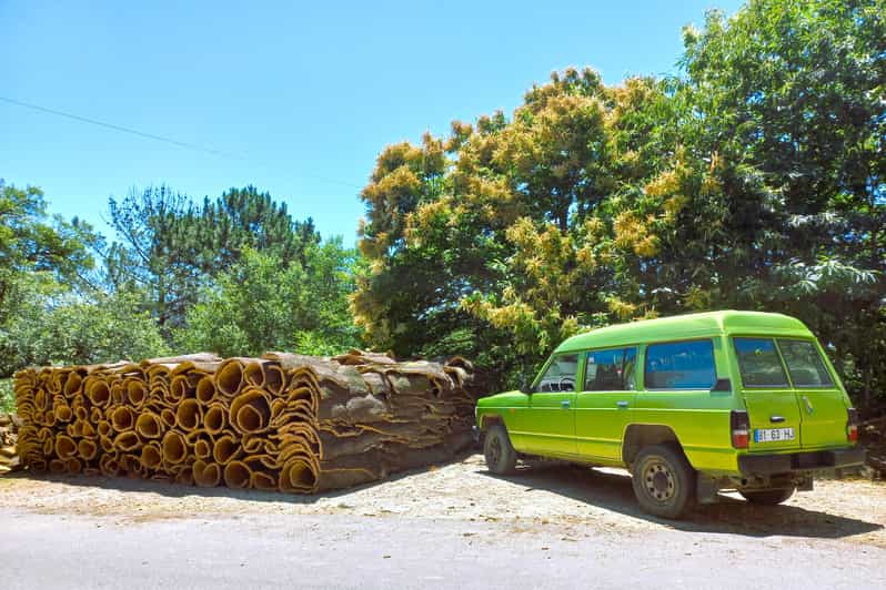 Half-Day Mountain Jeep Safari with firewater tasting - Cork Oak Forest Visit: Why Cork Matters Here