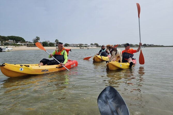 Half-Day Private Guided Kayak Island Tour - Starting at Praia dos Cavacos: Getting on the water without stress