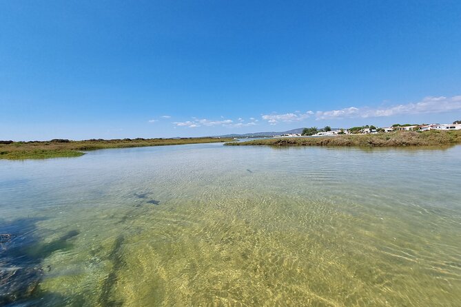 Half-Day Private Guided Kayak Island Tour - Ria Formosa Natural Park: Wildlife spotting made easier with guidance