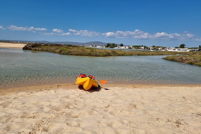 Half-Day Private Guided Kayak Island Tour - Gear, comfort, and pacing: what the included equipment really means