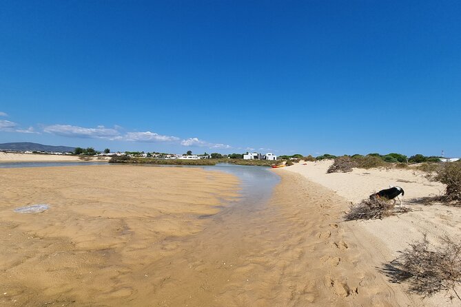Half-Day Private Guided Kayak Island Tour - Price and value: why $90.12 per person can work well