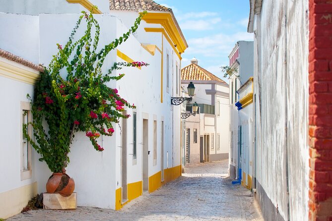 Highlights & Hidden Gems of Faro Private Tour - The best part: snack and drink with your host in Faro