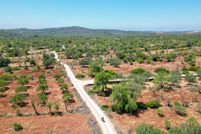 Hills & Thrills: 4 Hr Fonte da Benémola Electric Motorbike Tour - Key things that make this tour worth your time