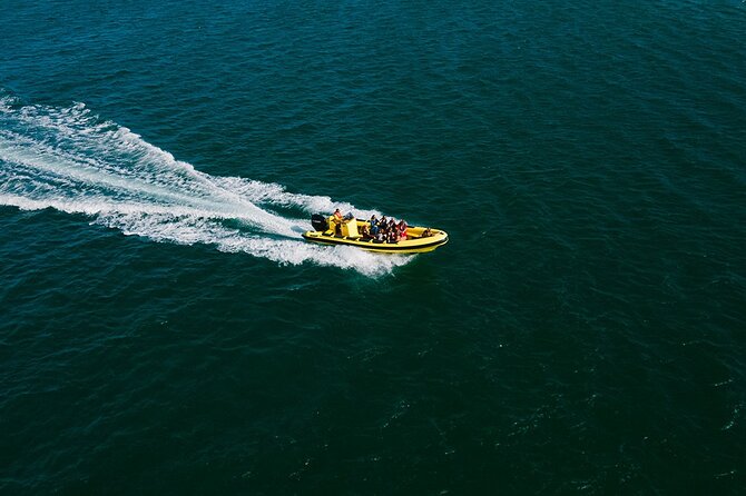 Hop On Hop Off 3 Islands: Deserta, Farol and Culatra - Ilha Deserta: Uninhabited Barrier Island with the Best Quiet