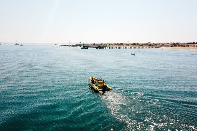Hop On Hop Off 3 Islands: Deserta, Farol and Culatra - Ilha do Farol: Fishermen-Safe Lighthouse Island Break