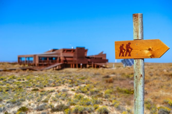Hop On Hop Off 3 Islands: Deserta, Farol and Culatra - Ilha da Culatra: The Real Community Island (Yes, You Walk to the Beach)