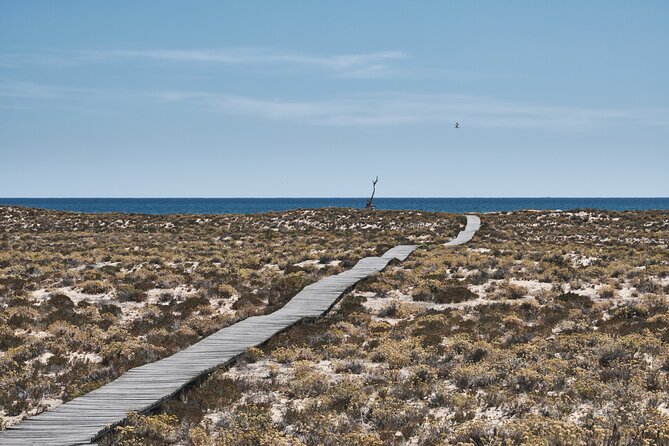 Hop On Hop Off 3 Islands: Deserta, Farol and Culatra - How Long Should You Spend on Each Island?