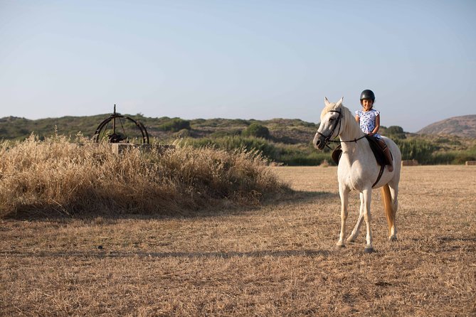 Horse Riding in Portugal - Picadero Kids - Key highlights that make Picadero Kids worth it