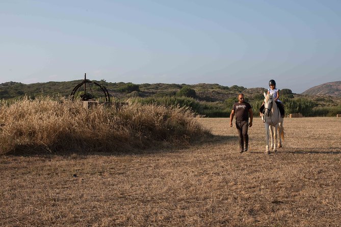 Horse Riding in Portugal - Picadero Kids - The 30-minute plan: exactly what happens in the kids picadero