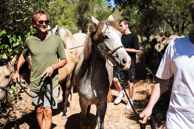 Horse Sanctuary: A nature walk with Rescued Horses by your side - A rescued-horse walk that feels personal, not performative
