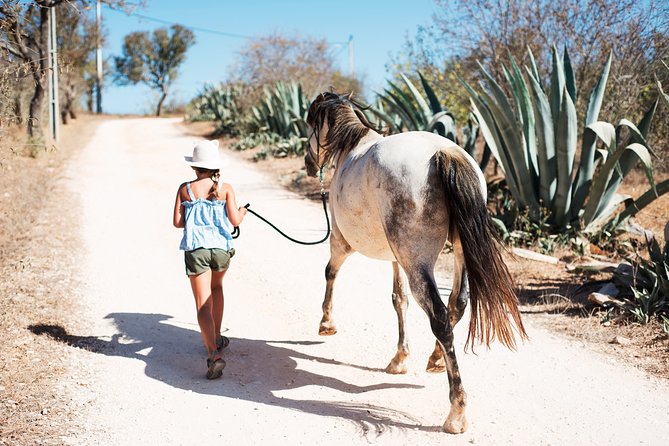 Horse Sanctuary: A nature walk with Rescued Horses by your side - The guides and the sanctuary vibe: the human side of rescue