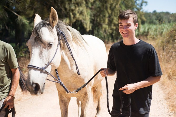 Horse Sanctuary: A nature walk with Rescued Horses by your side - Who should book this horse sanctuary walk (and who might prefer something else)