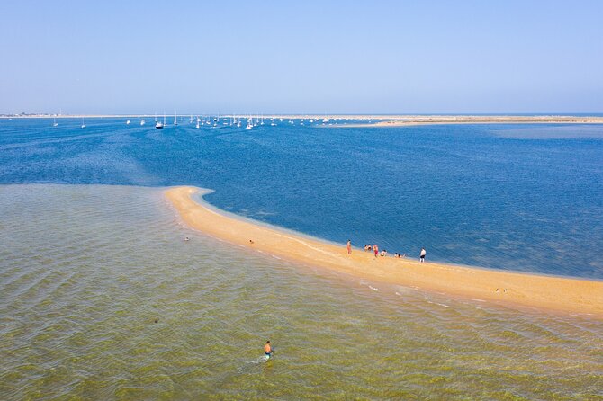 Ilha Deserta and Farol Island: a small group boat trip in Ria Formosa from Faro - Farol Island walk: lighthouse area, fishing village streets, and Santa Maria Cape