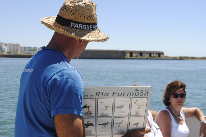 Ilha Deserta and Farol Island: a small group boat trip in Ria Formosa from Faro - Why the catamaran route works (and what it can limit)