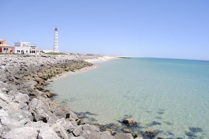 Ilha Deserta and Farol Island: a small group boat trip in Ria Formosa from Faro - Best fit: who this tour suits best