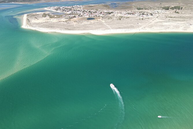 Islands Tour: Half Day Cruise in Ria Formosa Natural Park - Who Should Book This Cruise (and Who Should Skip It)