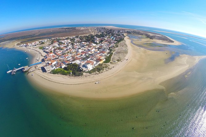 Islands Tour: Half Day Cruise in Ria Formosa Natural Park - On Board Experience: Live Commentary, Navigation, and the Boat Factor