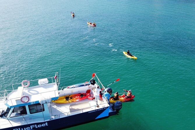 Kayak Experience in Ponta da Piedade - Beach Stops in Lagos: Popular Beach, the Rock-Sliced Spot, and More