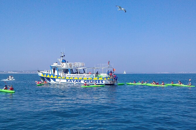 Kayak Tour - Key highlights that make this Lagos kayaking tour work