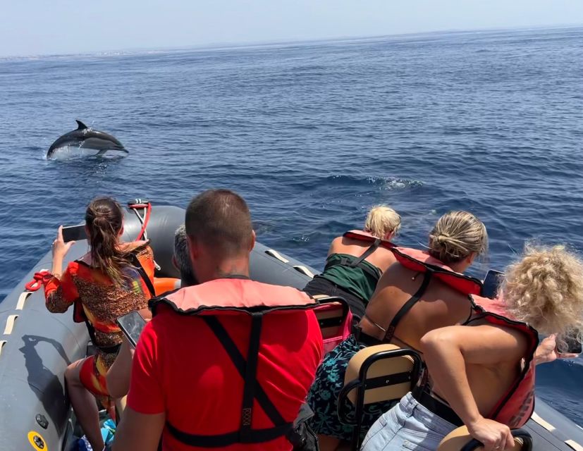 Lagoa: Dolphins Expedition with biologist guide on board - The 10-Minute Safety Briefing and Why the Boat Matters
