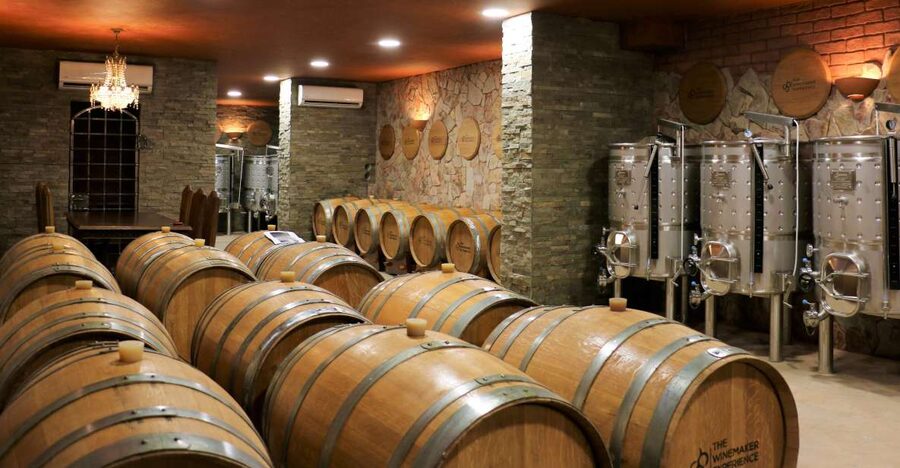 Lagoa: Guided Winery Tour and Local Wine Tasting - Quinta dos Vales: where the art-and-wine idea actually shows up