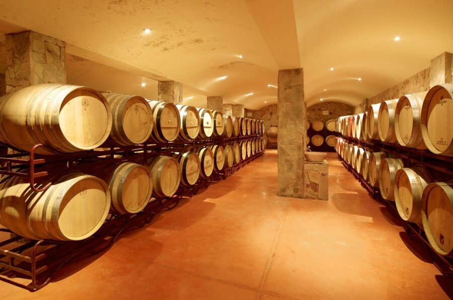 Lagoa: Guided Winery Tour and Local Wine Tasting - Getting there at the reception/Wine Shop and managing the 1.5-hour window