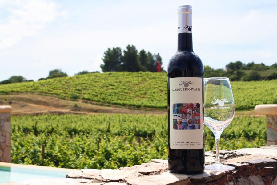 Lagoa: Guided Winery Tour and Local Wine Tasting - The winery tour: production secrets and what you’ll learn about making red wine
